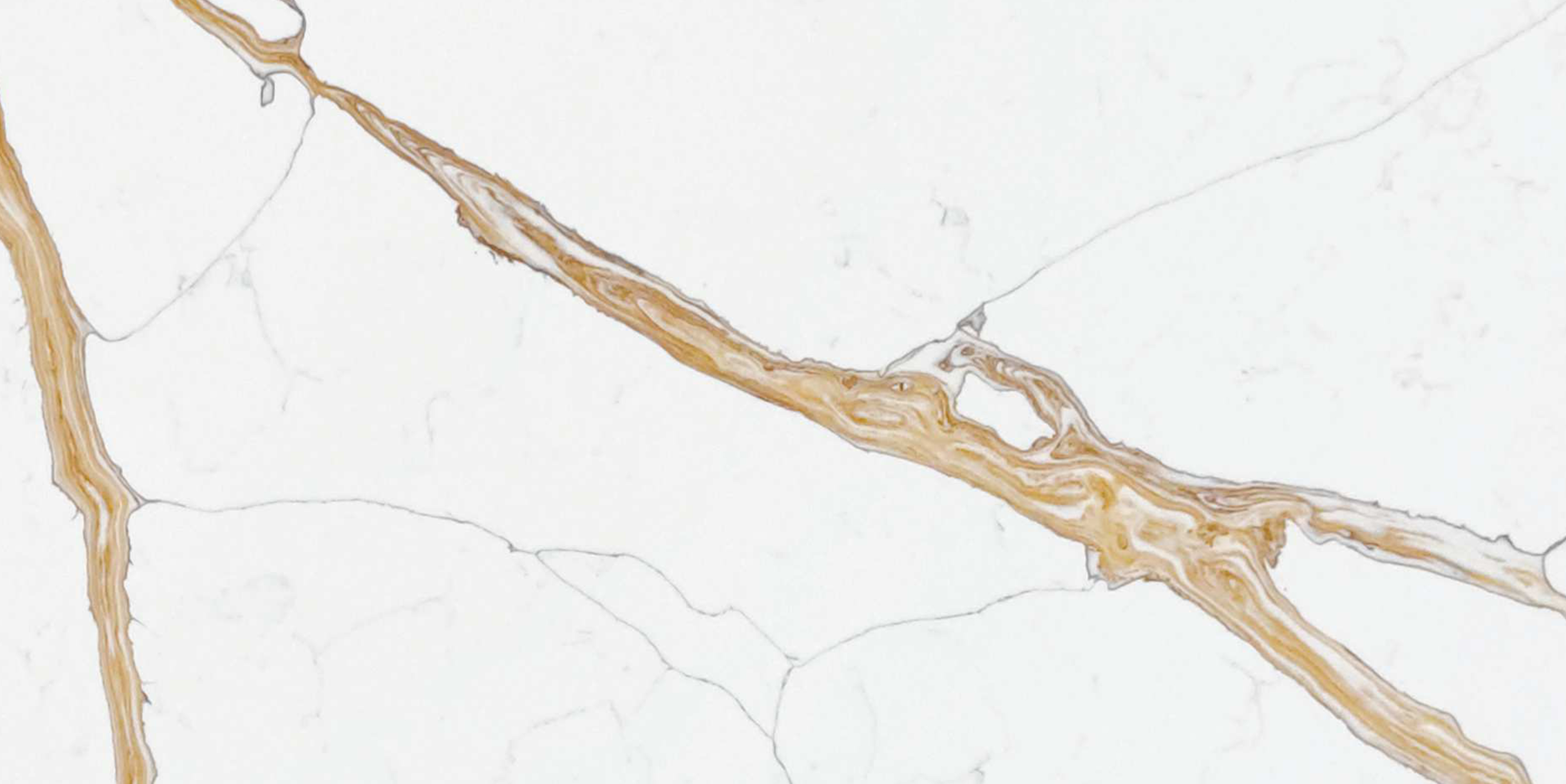 BL9560 renaissance - BELLASTONE