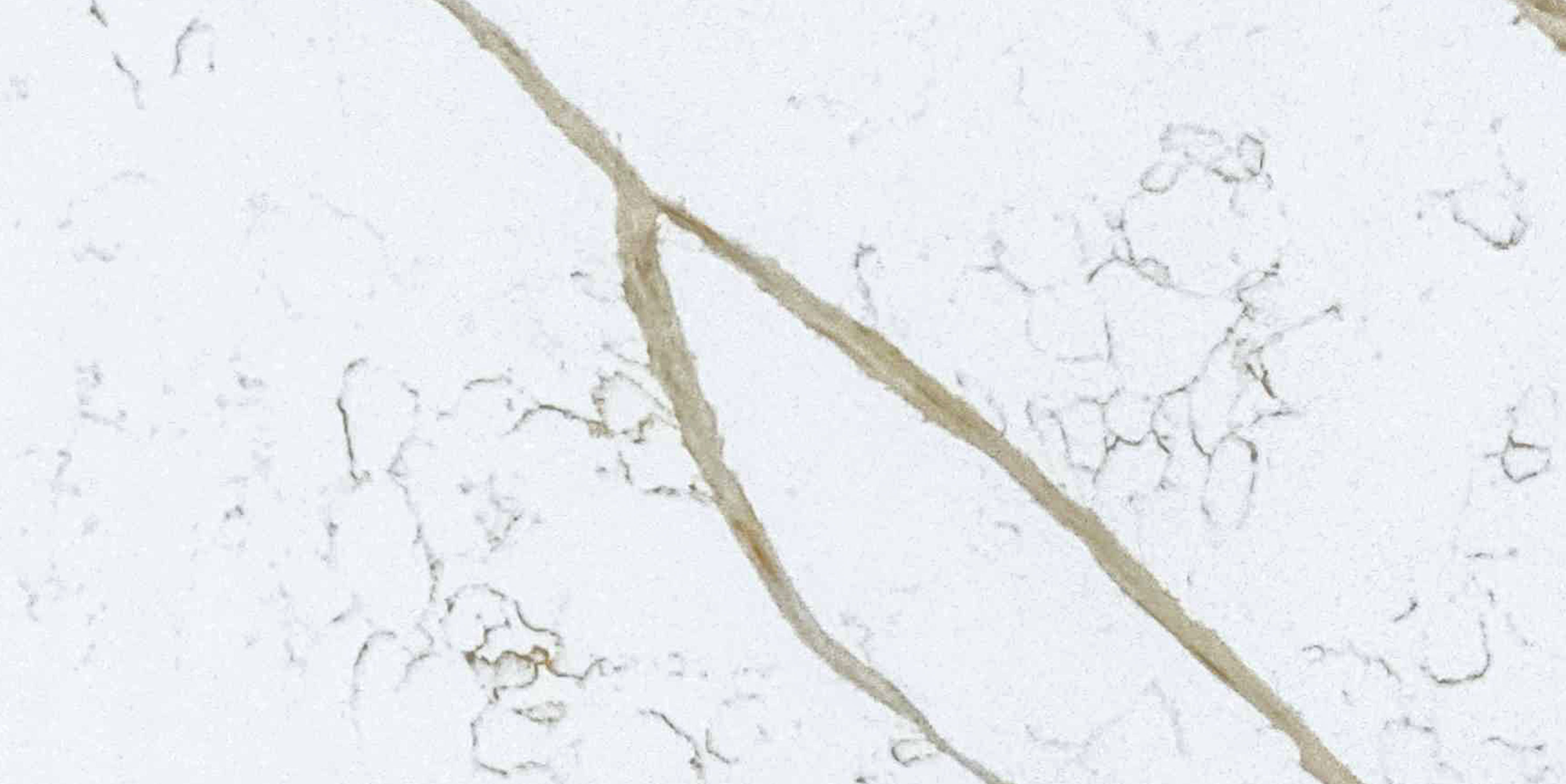 BL9561 silver - BELLASTONE