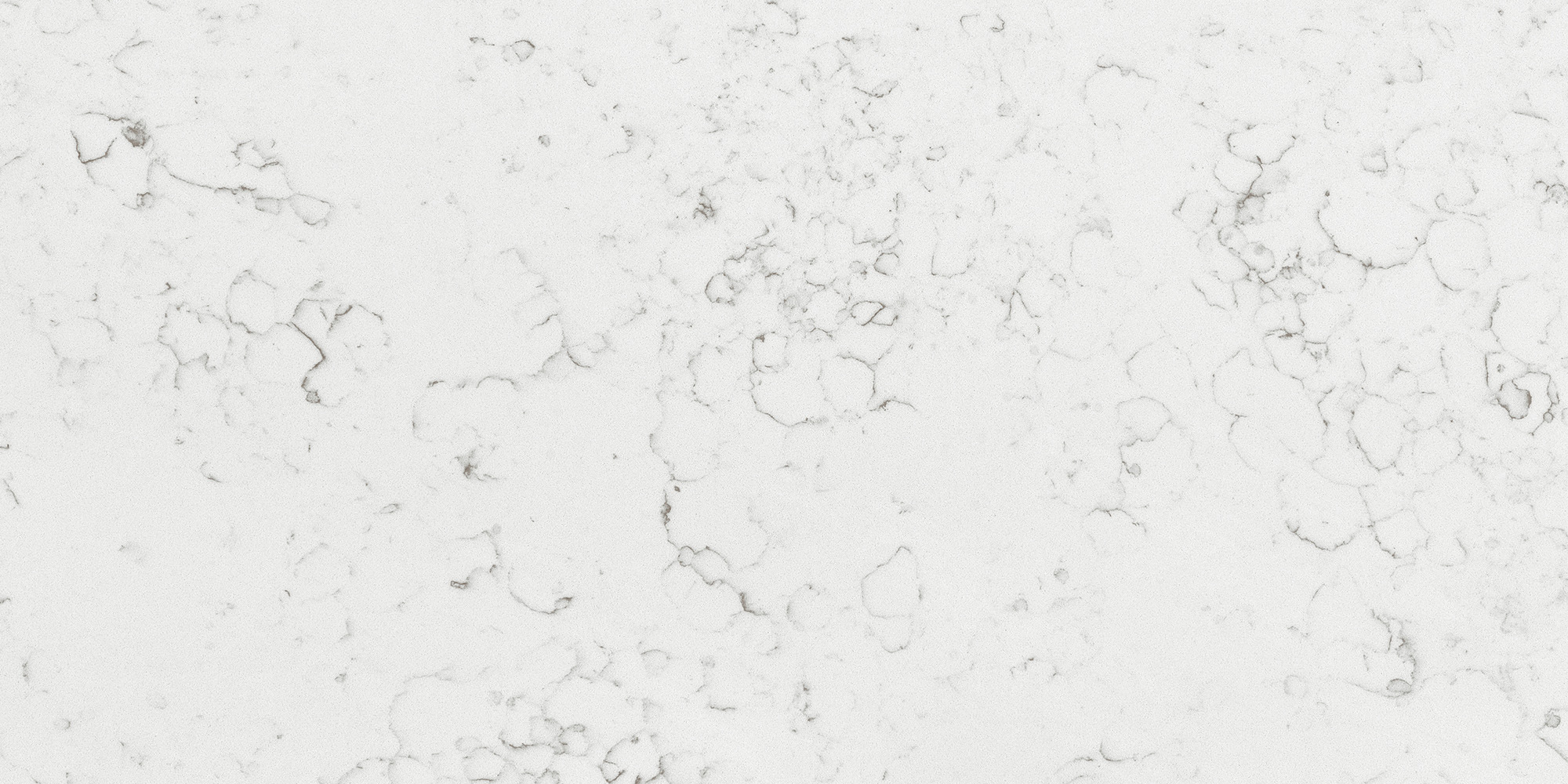 BL8378 TULIP - BELLASTONE