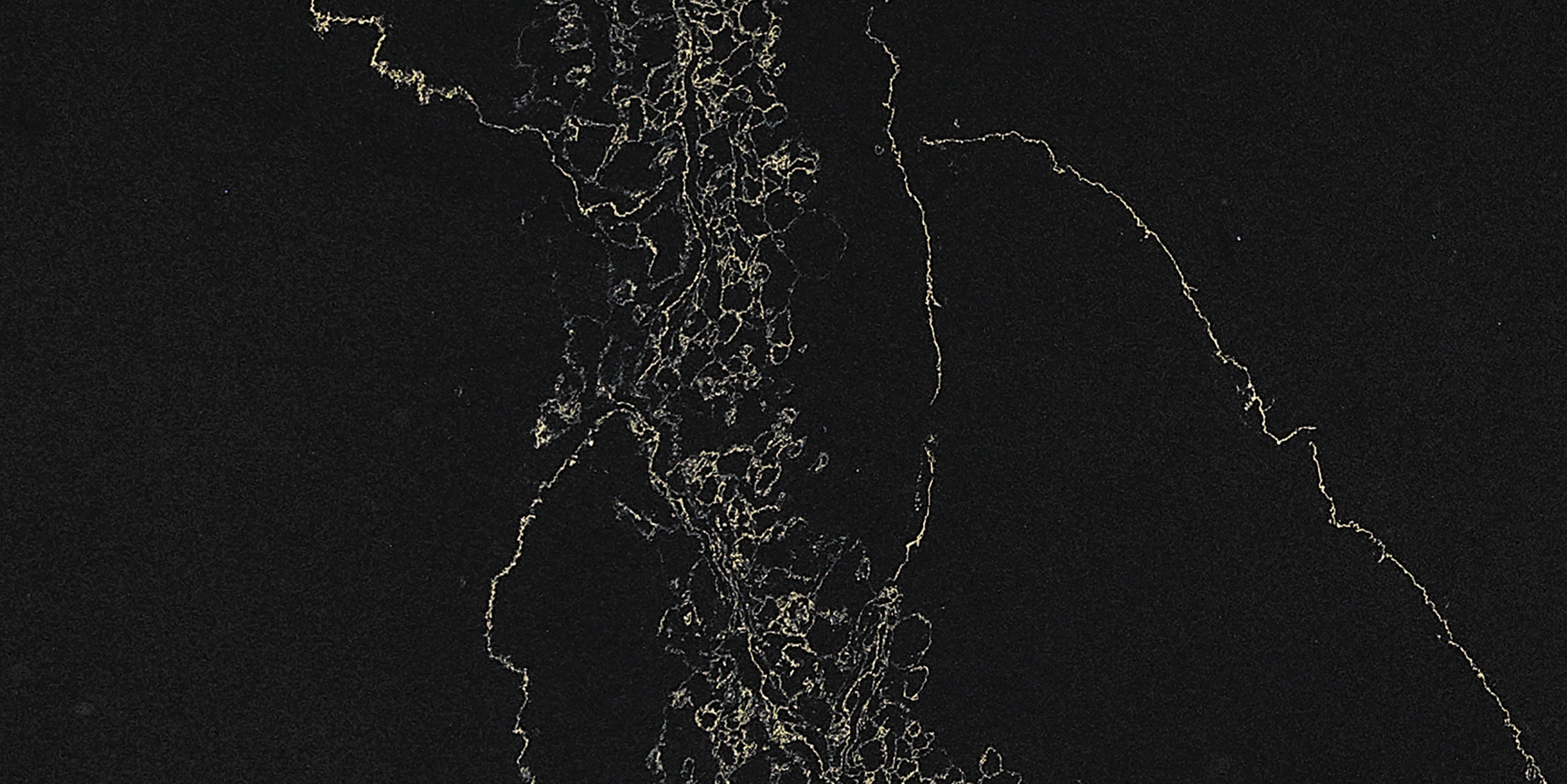 BL9133 GOLDEN  NIGHT - BELLASTONE