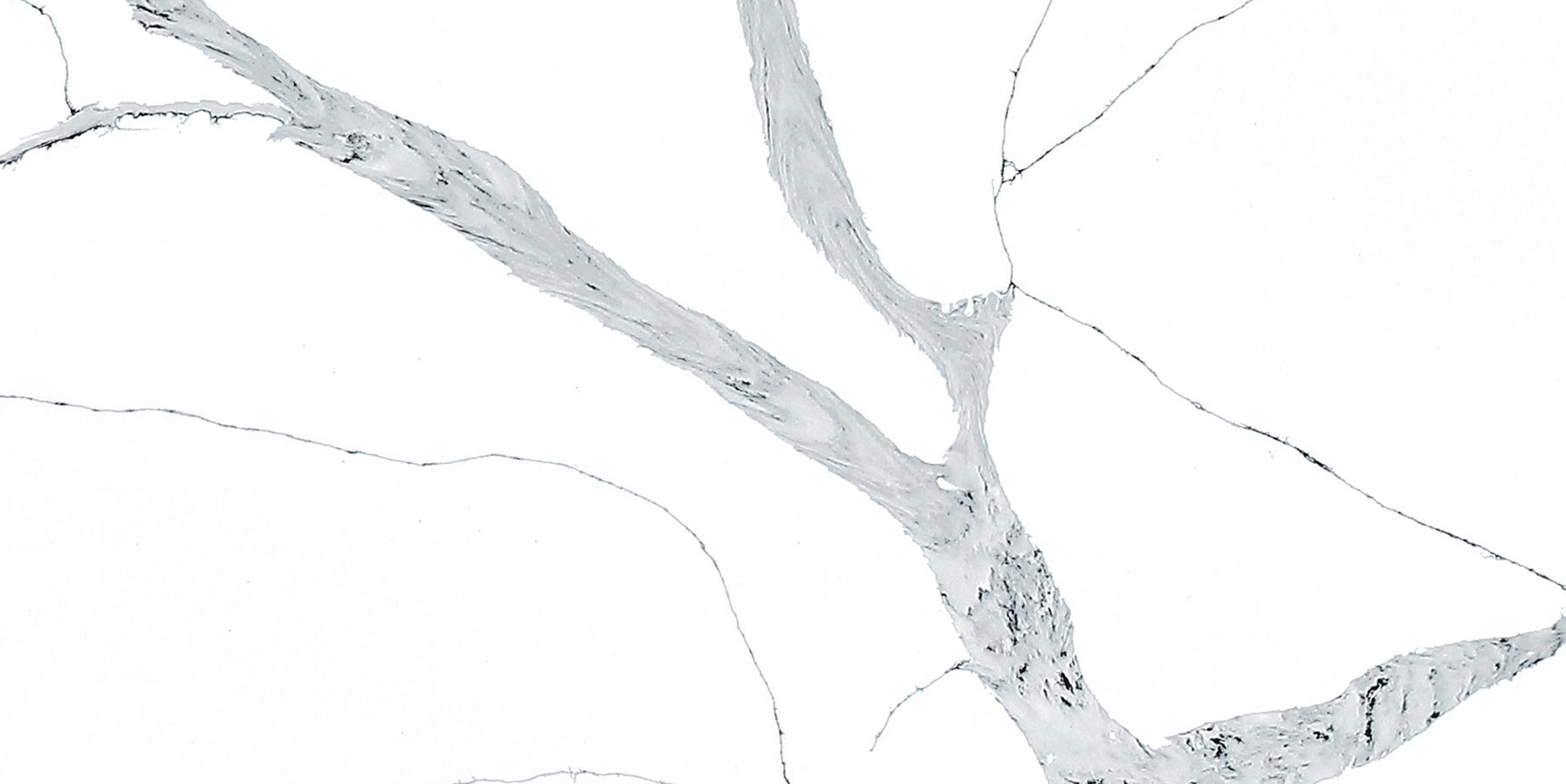 BL9335 Calacatta Brendy - BELLASTONE