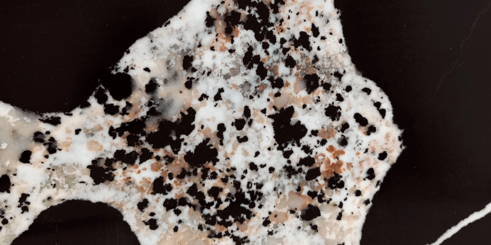 BL9562 calacatta artificial quartz stone slabs - BELLASTONE