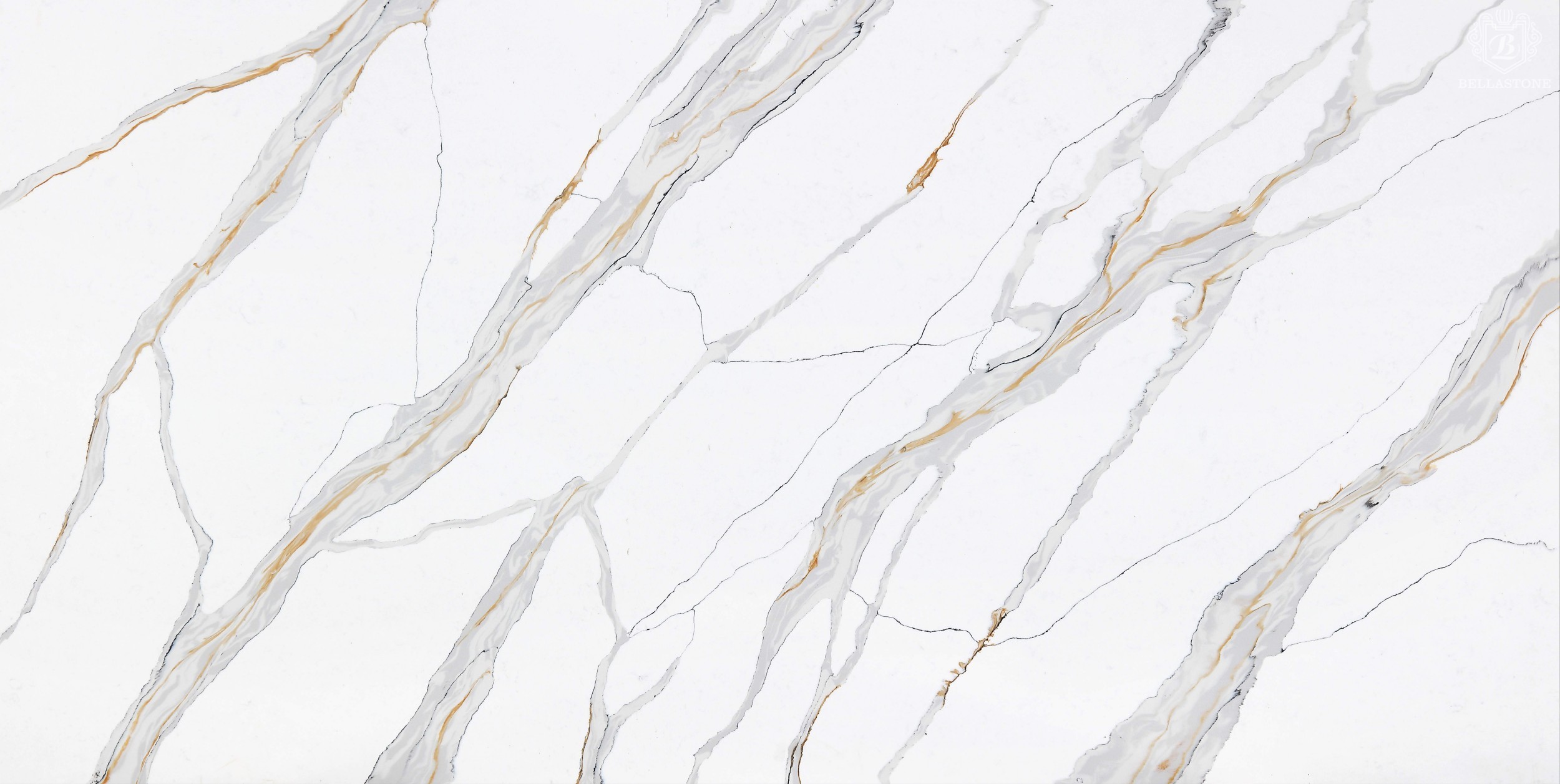 BL9423(BL23) 大板 Golden highighe rooting BL9423(BL23) 大板 Golden highighe rooting