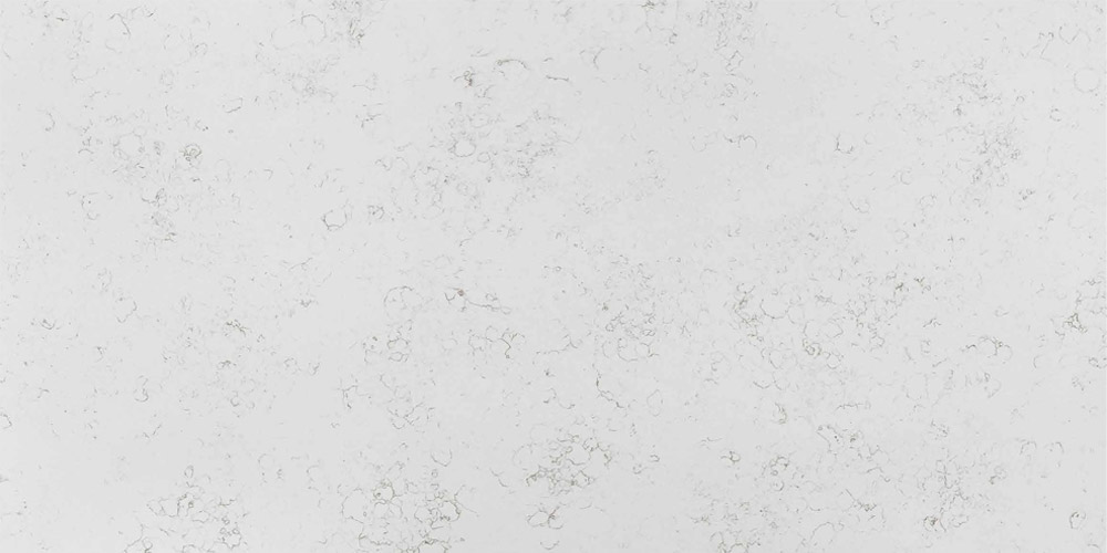 Cararra Tulip _ BL8378 - BELLASTONE