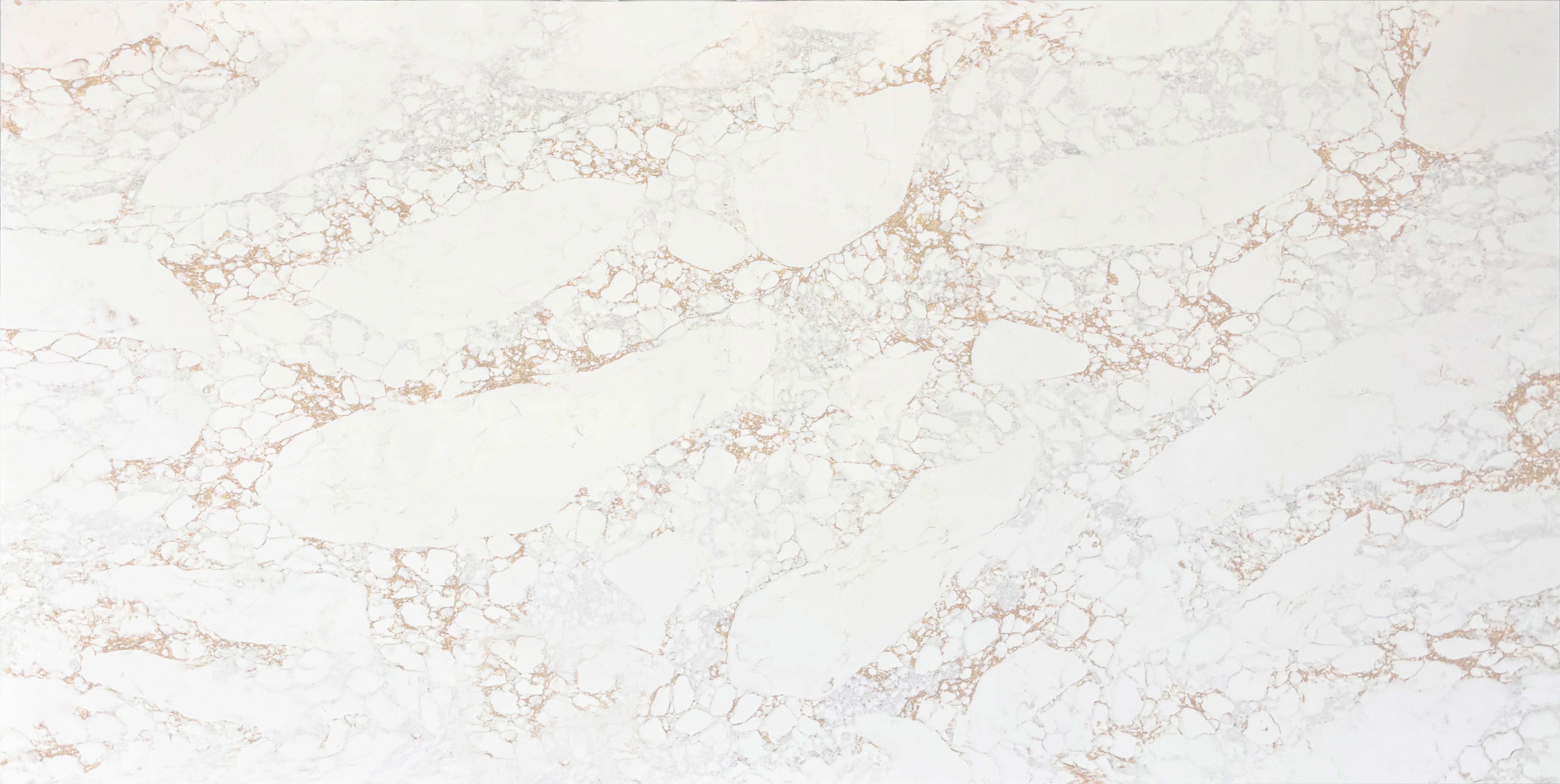BL9807(大板） Champagne Gold